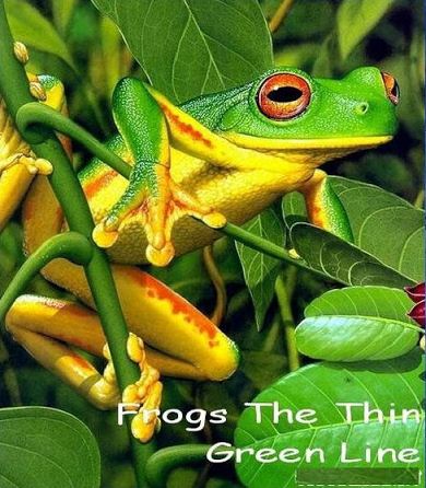 KH094 - Document - PBS Nature - Frogs, The Thin Green Line (1.3G)